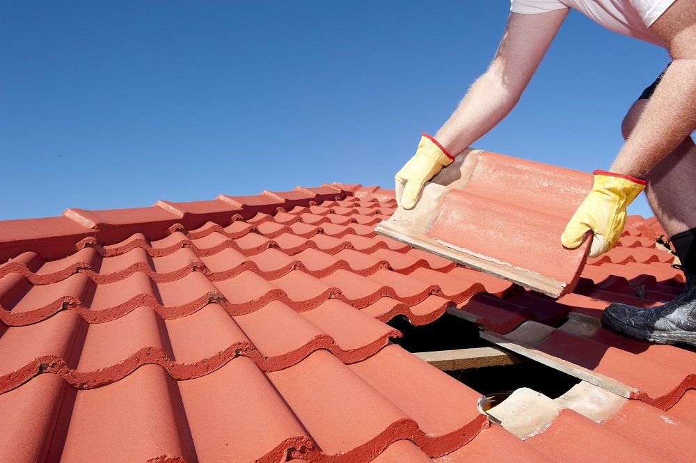 roofing services in Bayside