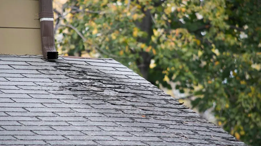Best Roofing Services in Flushing